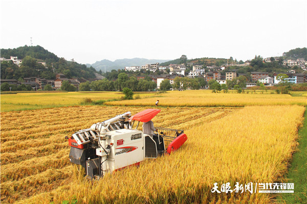 Agricultural mechanization makes farming easier in Kaiyang