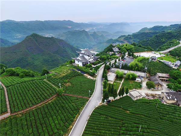 Kaiyang road strives to be China's top 10 most beautiful rural road