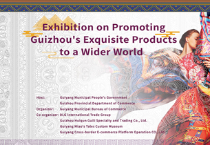 Watch: Exhibition on promoting Guizhou's exquisite products to a wider world