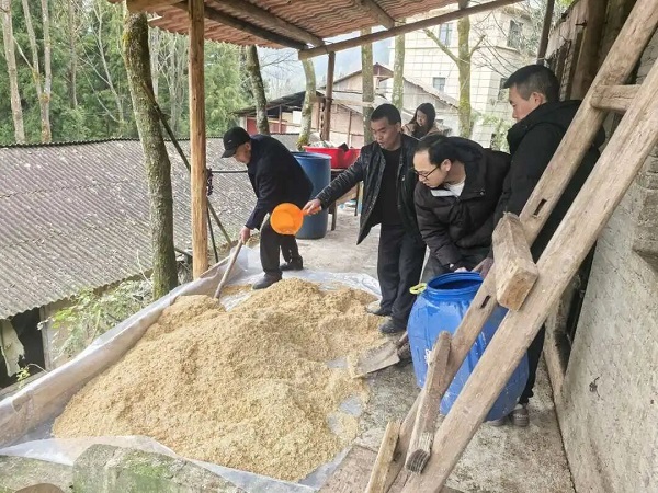 1769155775250097534.jpg 640 (12).jpg