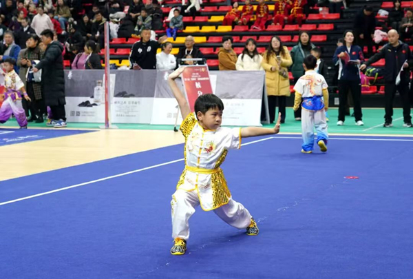 1762242950846052174.jpg 武术比赛2_副本.jpg
