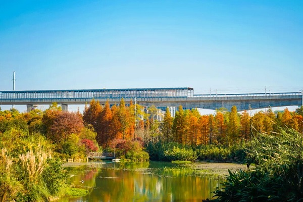 1765272859841075308.jpg c6a2ba44eaa741bd81709e724c8f6219.jpg