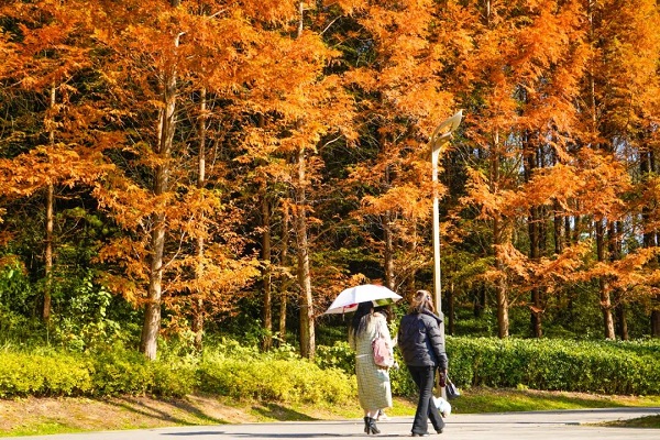 1765272889889016306.jpg a1526e2e38af44908fa5b2643f2bc963.jpg