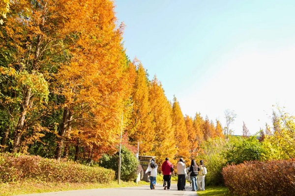 1765272901151044158.jpg 59c820123874458080d81455777bbe50.jpg