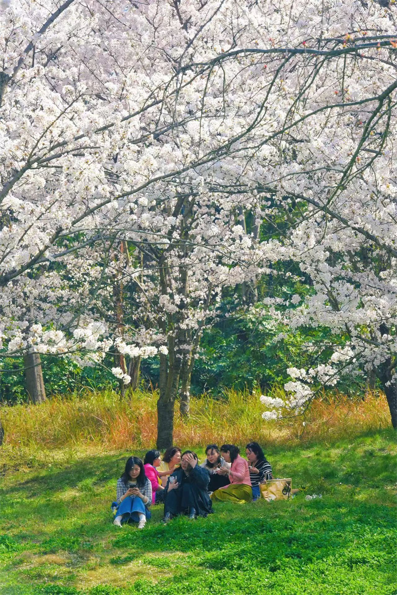 1766657462686077152.jpg W020250327340971872131.jpg