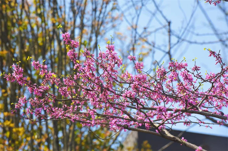 1766657580422095053.jpg W020250327340970373621.jpg