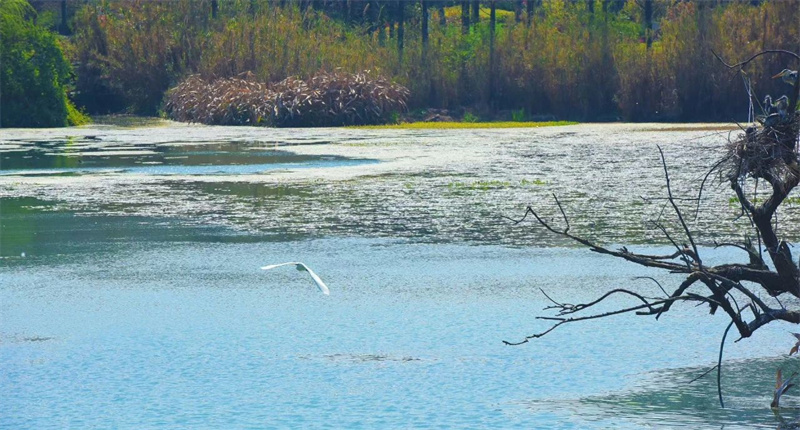 1766657608357090520.jpg W020250327340970480610.jpg