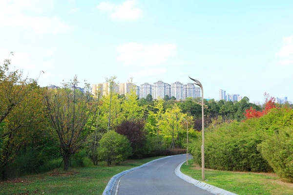 1766732153583020419.jpg 8.jpg