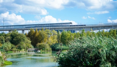 Shuanglong zone trading company enters Southeast Asian market