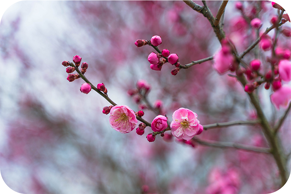 1768462651491091584.png 640 (1).png