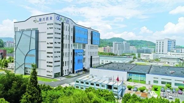 Wudang strives for high-quality development