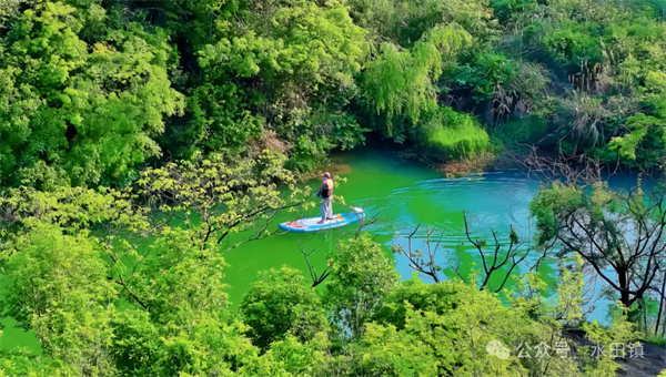 paddle boarding.jpg