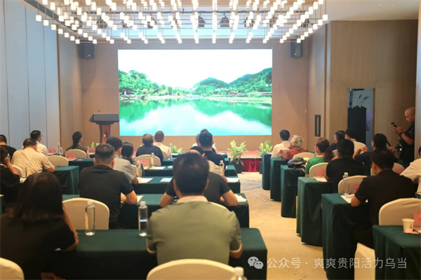 Wudang promotes summer tourism in Changsha