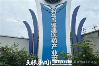 Wudang EDZ witnesses robust industrial growth in H1