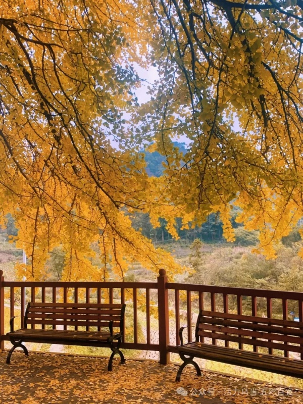 1764126613238055749.jpg 640 (5).jpg