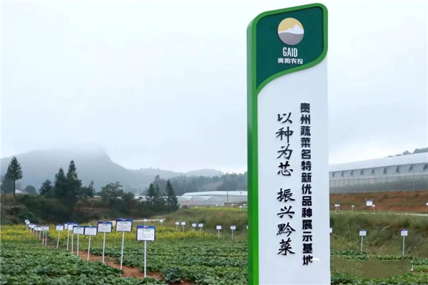 Wudang to further advance high-efficiency agricultural industry
