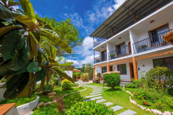 Wudang district sees tourism boom with rise of summer homestays