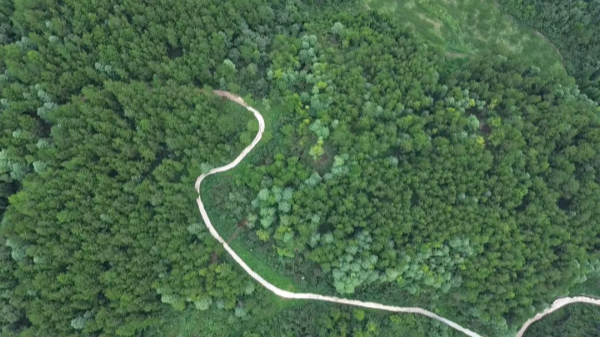 Wudang district improves rural environment