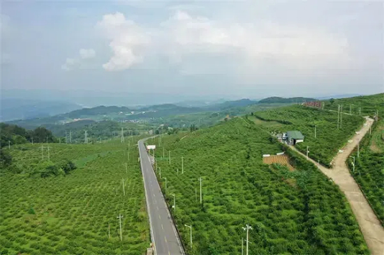 Xifeng: Rural roads pave way to happiness