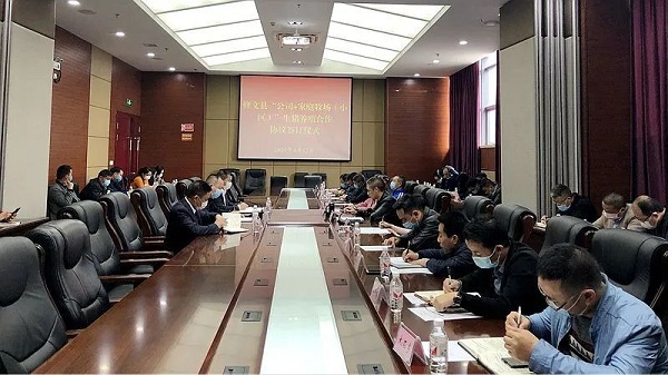 Xiuwen signs pig breeding cooperation agreement 