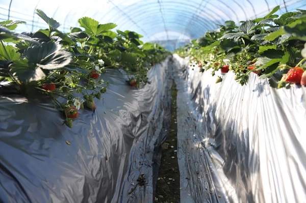 1764924126142069577.jpg W020251125335372889702.jpg