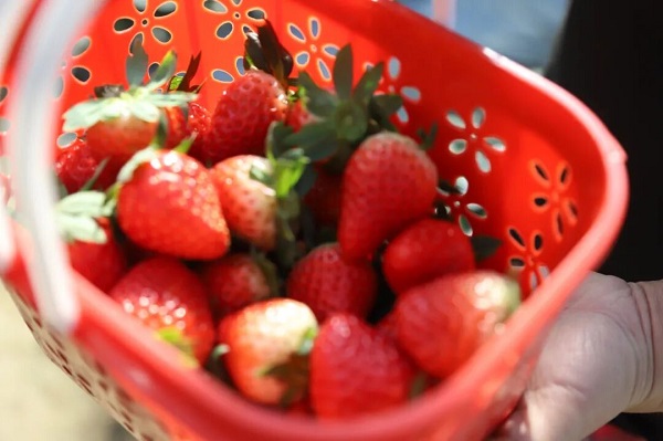 1764924248287063079.jpg W020251125335372823535.jpg