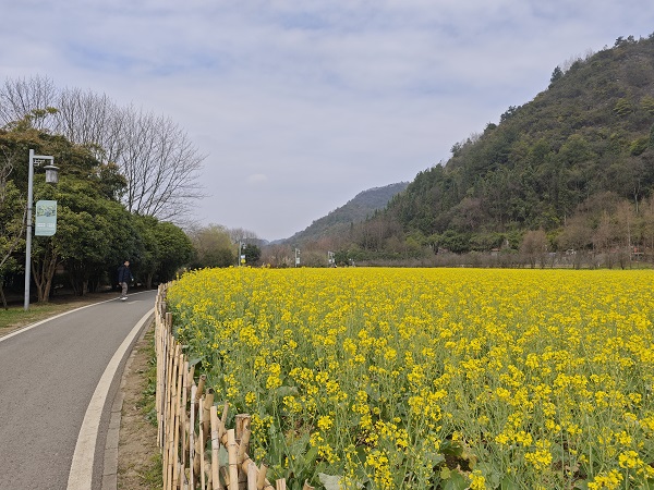 Guiyang tourist resort welcomes flowering season