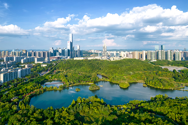 Action plan launched to promote digital transformation of SMEs in Guiyang and Guian