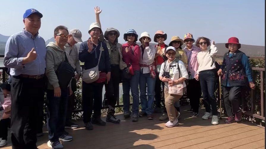 Taiwan tourists embark on cherry blossom viewing trip in Gui'an