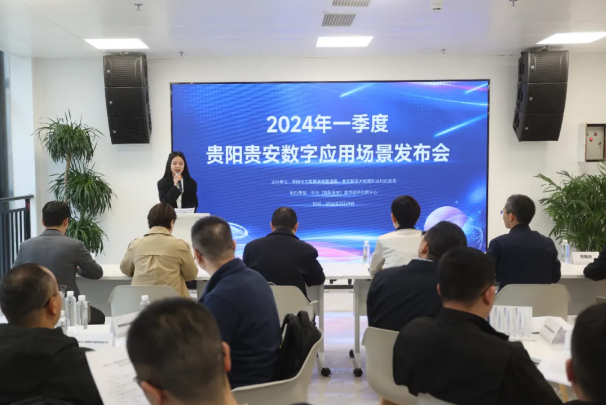 Guiyang and Gui'an releases 51 digital use cases