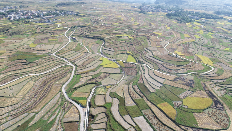 Guiyang and Gui'an work to build high-standard farmland