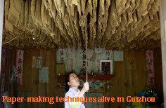 Ancient paper-making techniques still alive in Guizhou