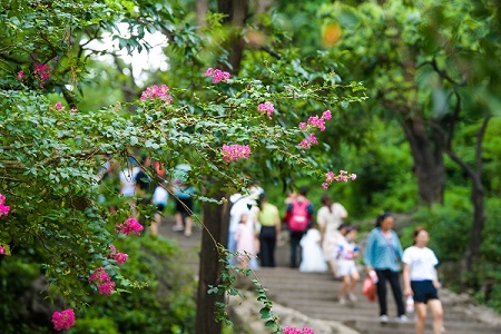 Guiyang becomes tourist hot spot during summer months