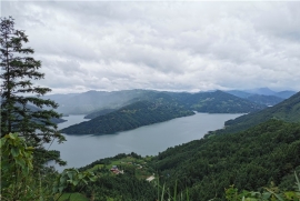 Guizhou issues plan to reach peak carbon emissions
