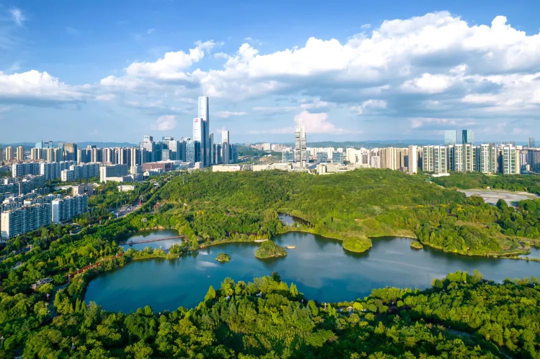 Guizhou's green gains to be showcased at coming forum