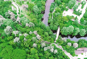 Guizhou perseveres in ecological civilization construction