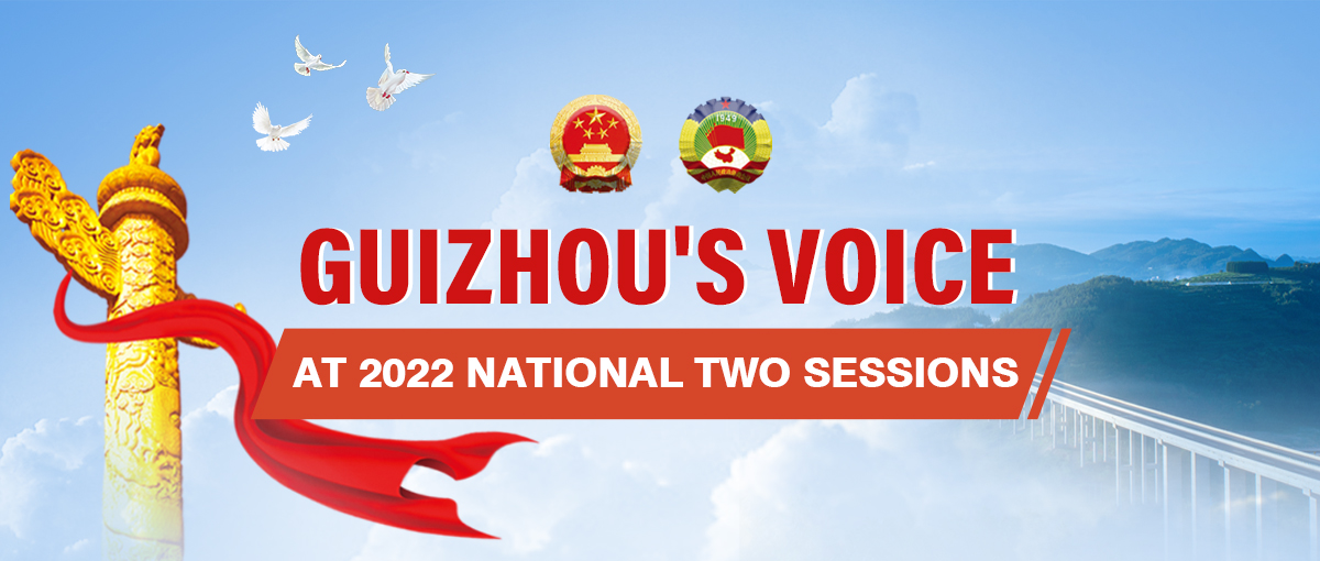 Guizhou's voice at 2022 national two sessions