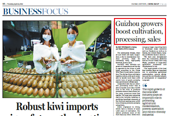 Guizhou growers boost cultivation, processing, sales