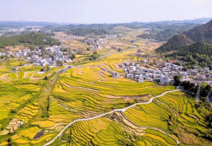 Colorful Guizhou plays its annual harvest symphony