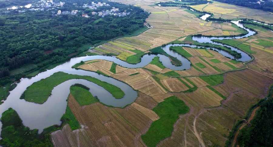Aerial view of Quxi wetland in Haikou city, Hainan province