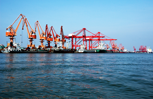 Yangpu Bonded Port Area introduces 585 enterprises this year