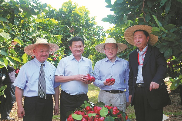 Taiwan fruit farmer flourishing in Hainan