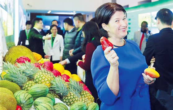 Over 30 tropical fruits introduced to Hainan 