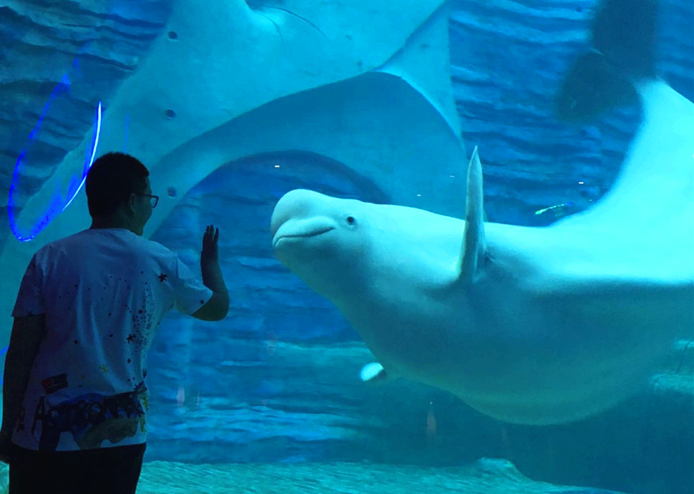 Aquarium draws tourists at Atlantis Sanya