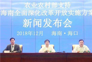 Hainan press conference hall goes online