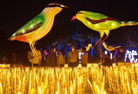 Themed lights brighten up Haikou's wetlands 
