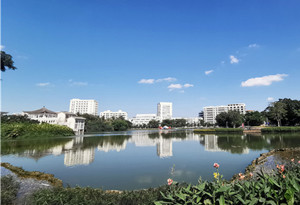 Haikou's air quality tops among 168 cities in H1