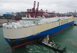 Hainan free trade port work on track