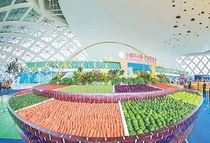 Hainan intl agro-product fair wraps up with $10.4b in deals