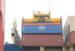 Container throughput at Yangpu Port exceeds 1 million